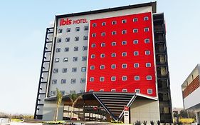 Ibis Irapuato